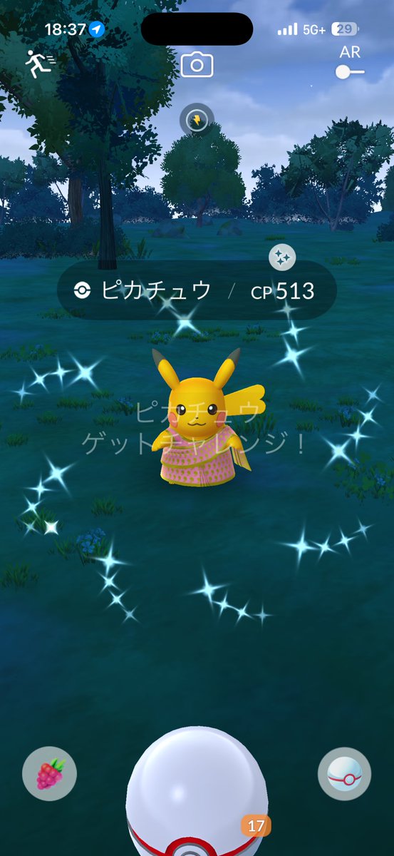 ぴぴ𝑪𝒉𝒂𝒏🐺 tweet media