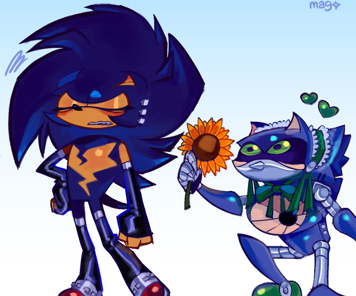 Sonic Sometimes tweet media