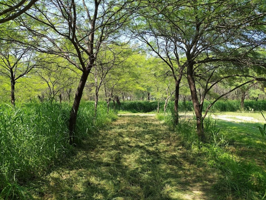 intaCIAP's tweet photo. Nuevos aportes del #CIAP al debate técnico e institucional sobre la gestión de los recursos genéticos forestales hacia 2050.
https://t.co/cwixVcQCKC 

Domesticación de Especies Forestales Nativas: Gestión de la diversidad genética en contextos de incertidumbre hacia 2050 https://t.co/zKW9GEG6ng