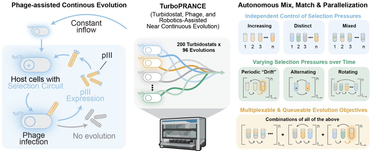 Emma J Chory tweet media