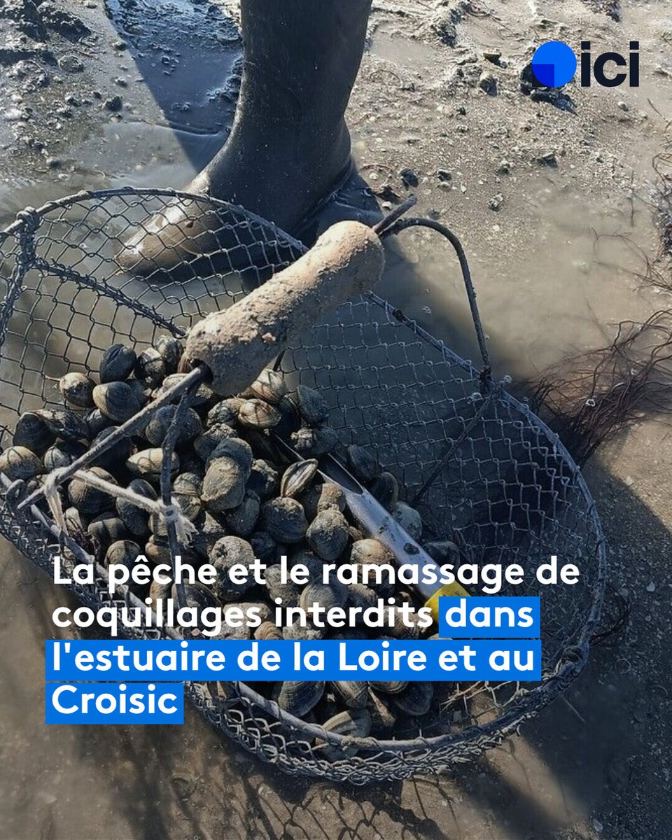 A cause d'une potentielle contamination à la bactérie E.coli.
➡️ l.francebleu.fr/OFxk