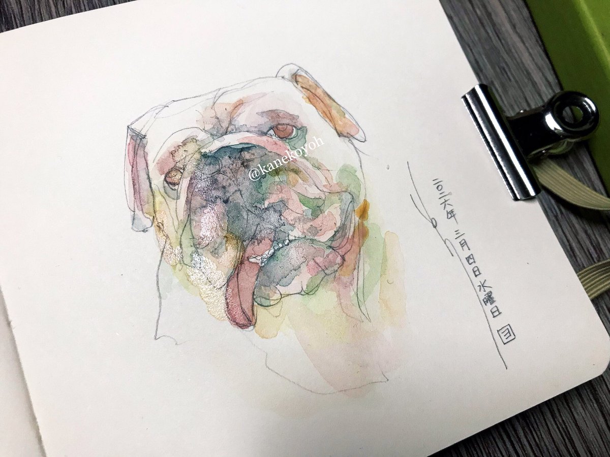 金子 羊｜Kaneko Yoh (@kanekoyoh) on Twitter photo 