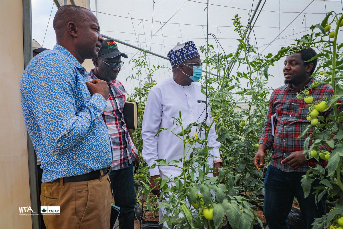 IITAYOUTHAGRIP's tweet image. Big opportunity for Plateau #youths!

We hosted a delegation from @PLSGov led by Dr. Haggai Gutap to explore collaboration in training #youngpeople, especially in #potato production &amp;amp; #valueaddition.

Stronger partnerships. Greater impact.

#YouthInAgribusiness #IITAPartnerships