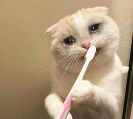 AICANDII 🧪 VchiBan ✨ tweet media