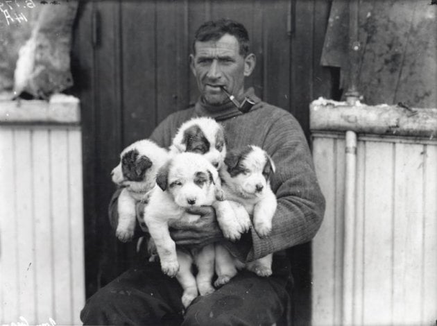 J Ðog ₍ᐢ•ﻌ•ᐢ₎ tweet media