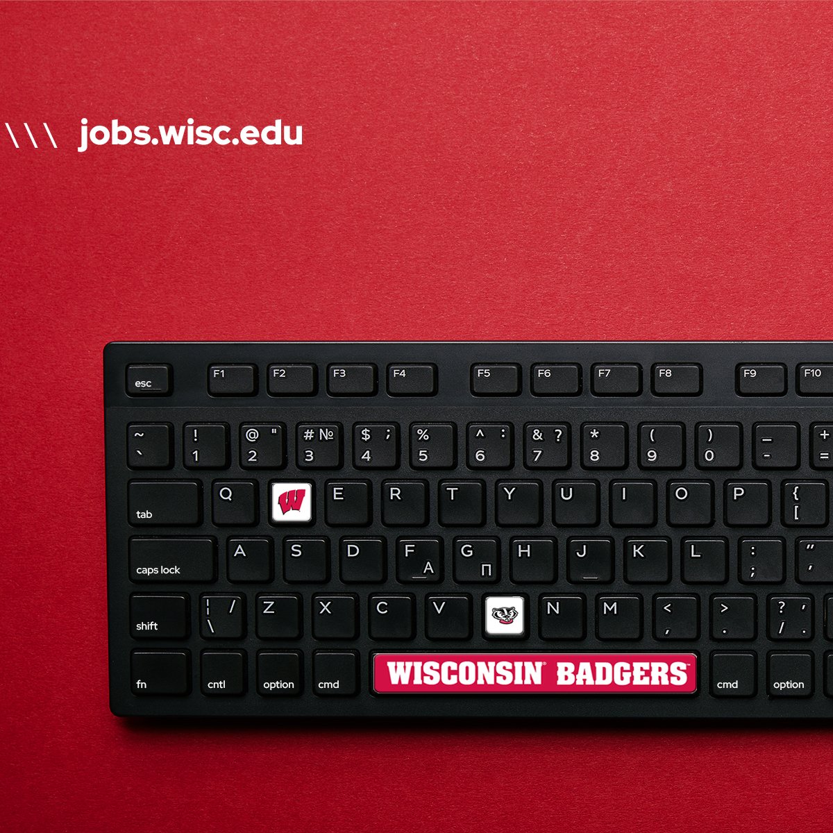 Jobs at UW tweet media