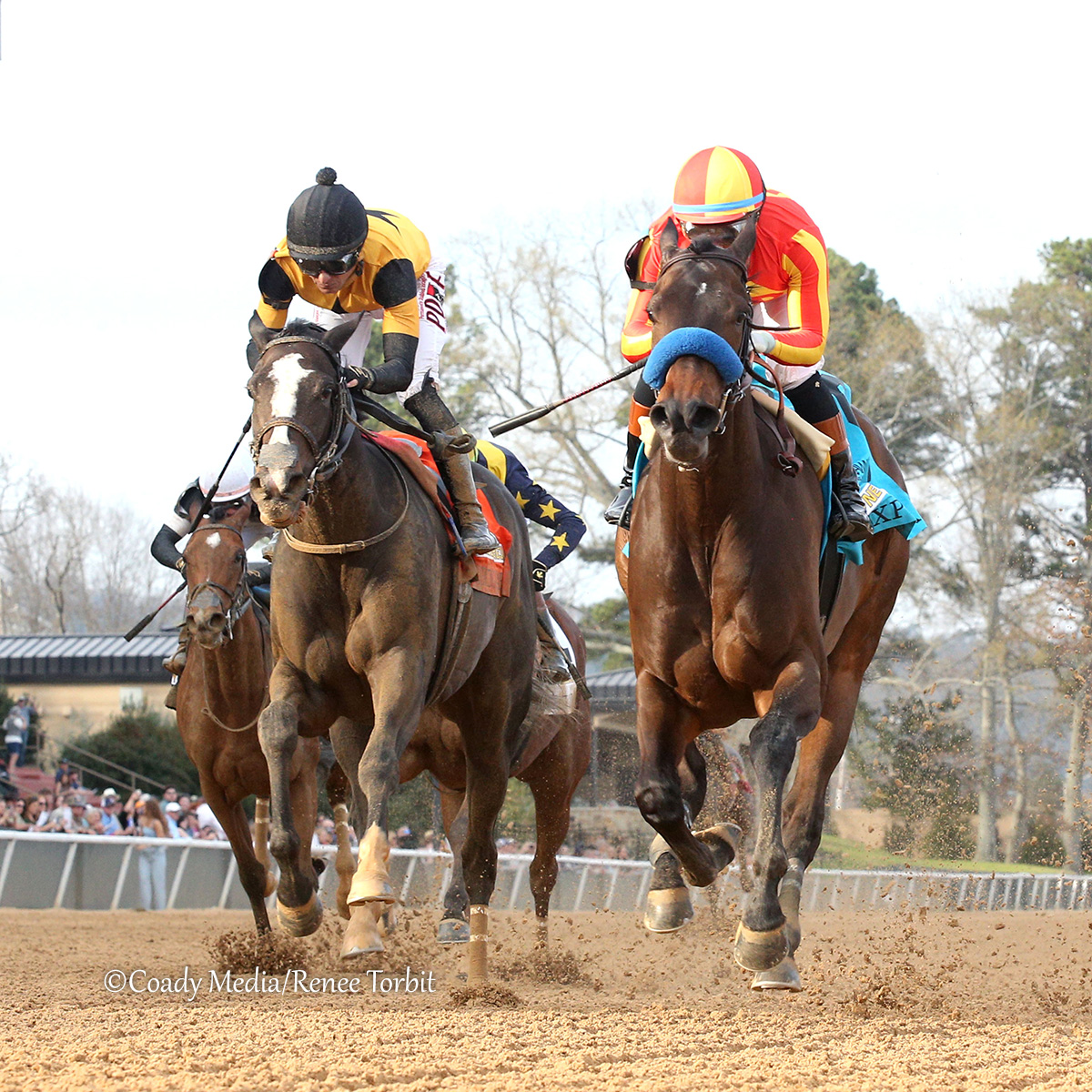 TDN tweet media