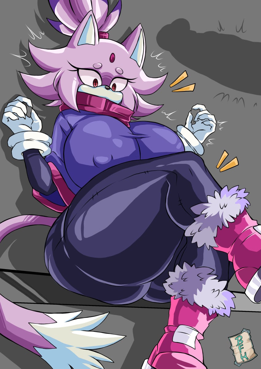 BlazeTheCat tweet media