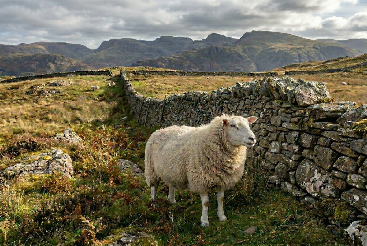 Sama Hoole tweet media