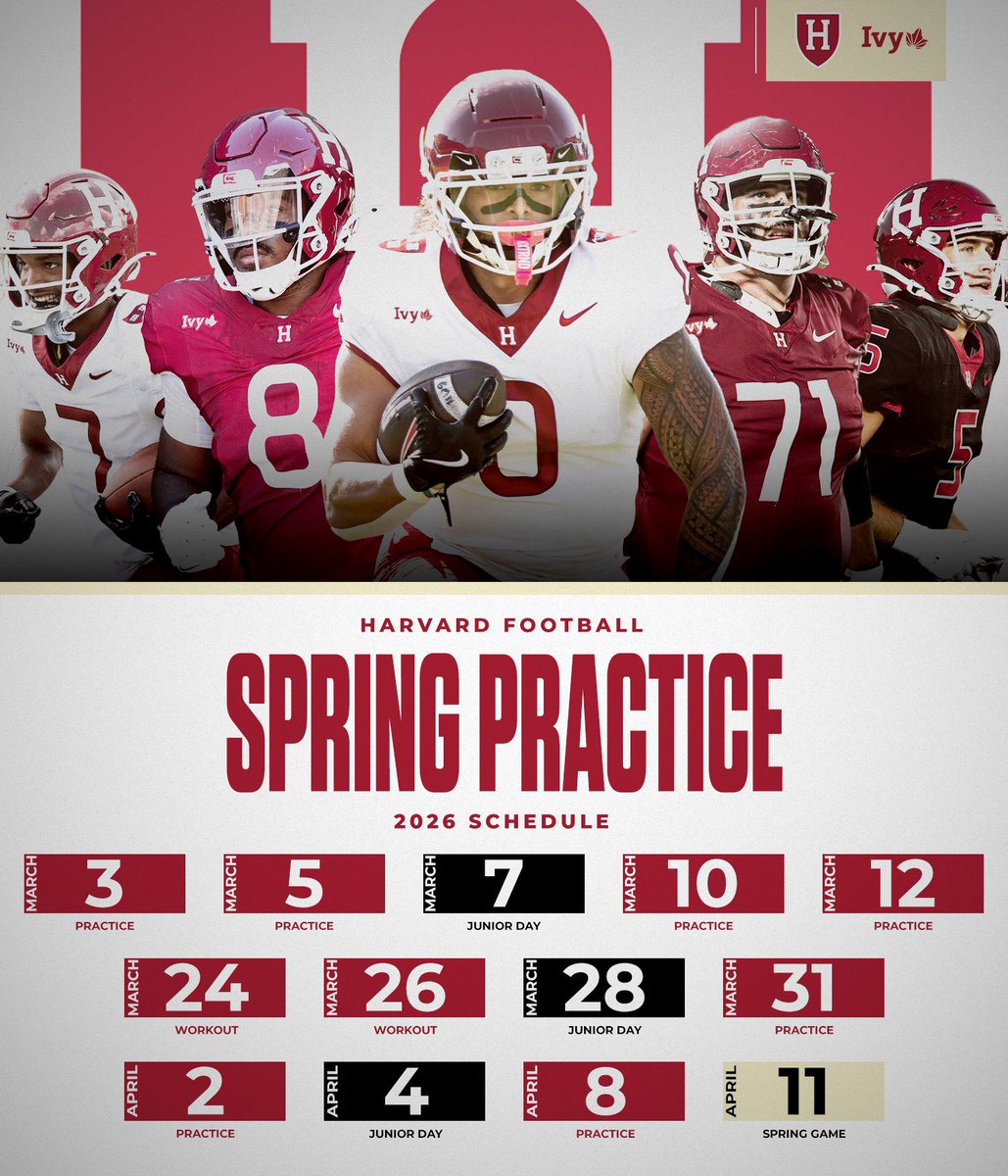 Chase Courtemanche tweet media