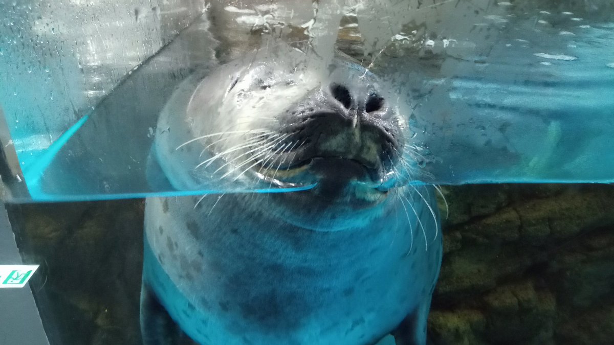 睦月 (@mutsuki__0723) / Posts / X