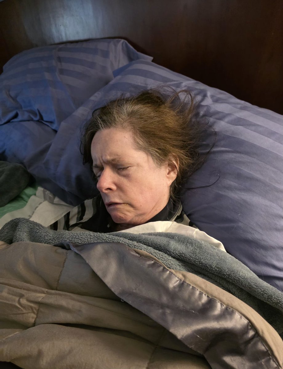 michaeljwhelan tweet media