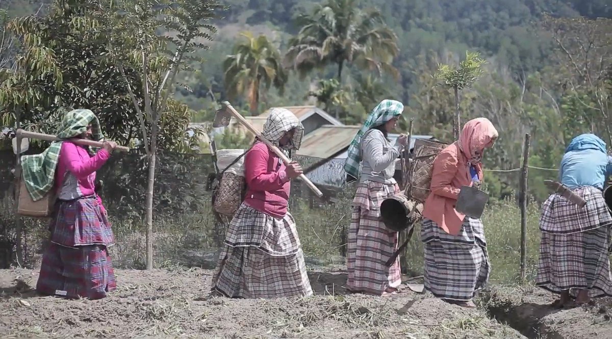 NTFP-EP Asia tweet media