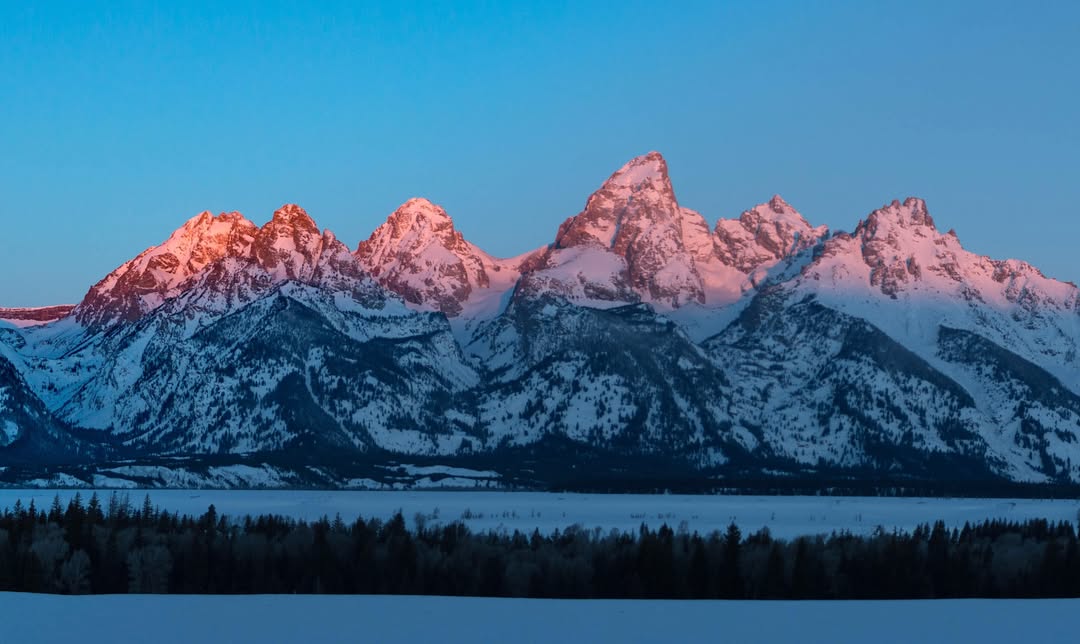 Western Priorities tweet media