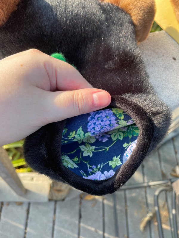 Con_Rotty🐾 tweet media