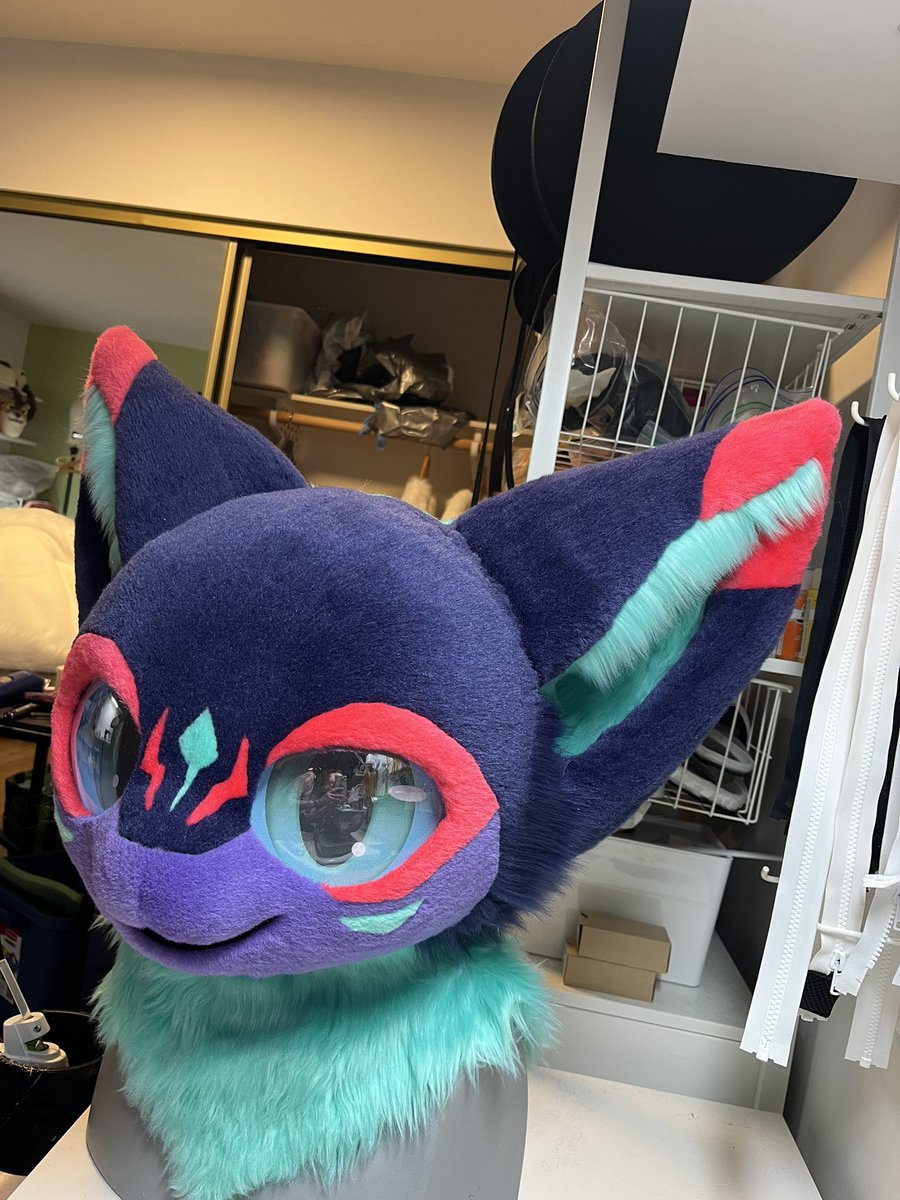 Kemonokapi 🎀 tweet media