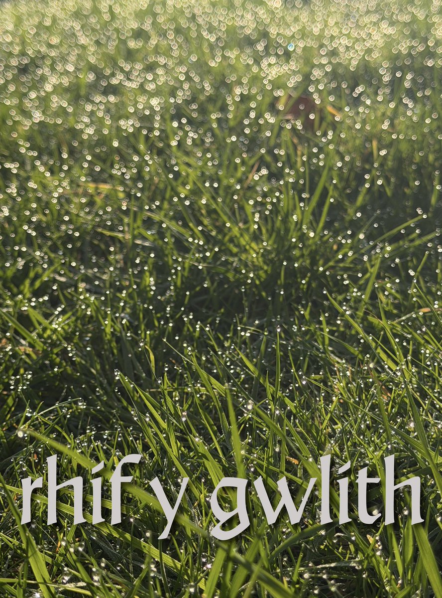 GPC Welsh dictionary tweet media