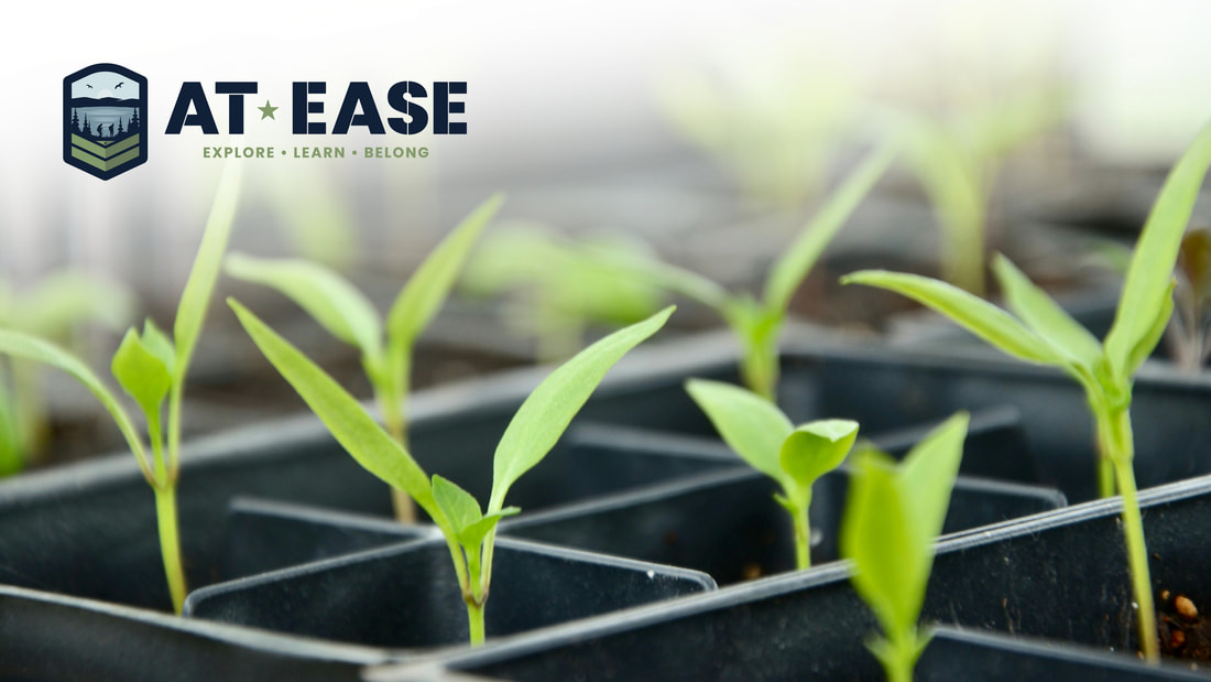 Wayne Tomorrow! tweet media