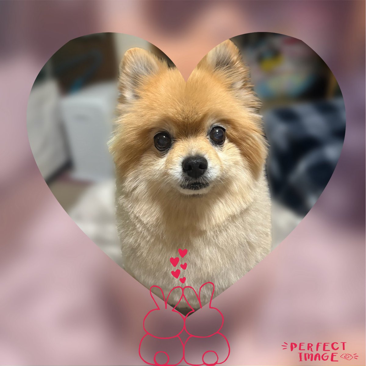 Ｙｕｋｉ❁⃘*.ﾟ(ゆっきー)/Webデザイン勉強中🐼 tweet media