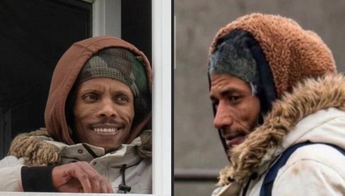 W Stewart tweet media