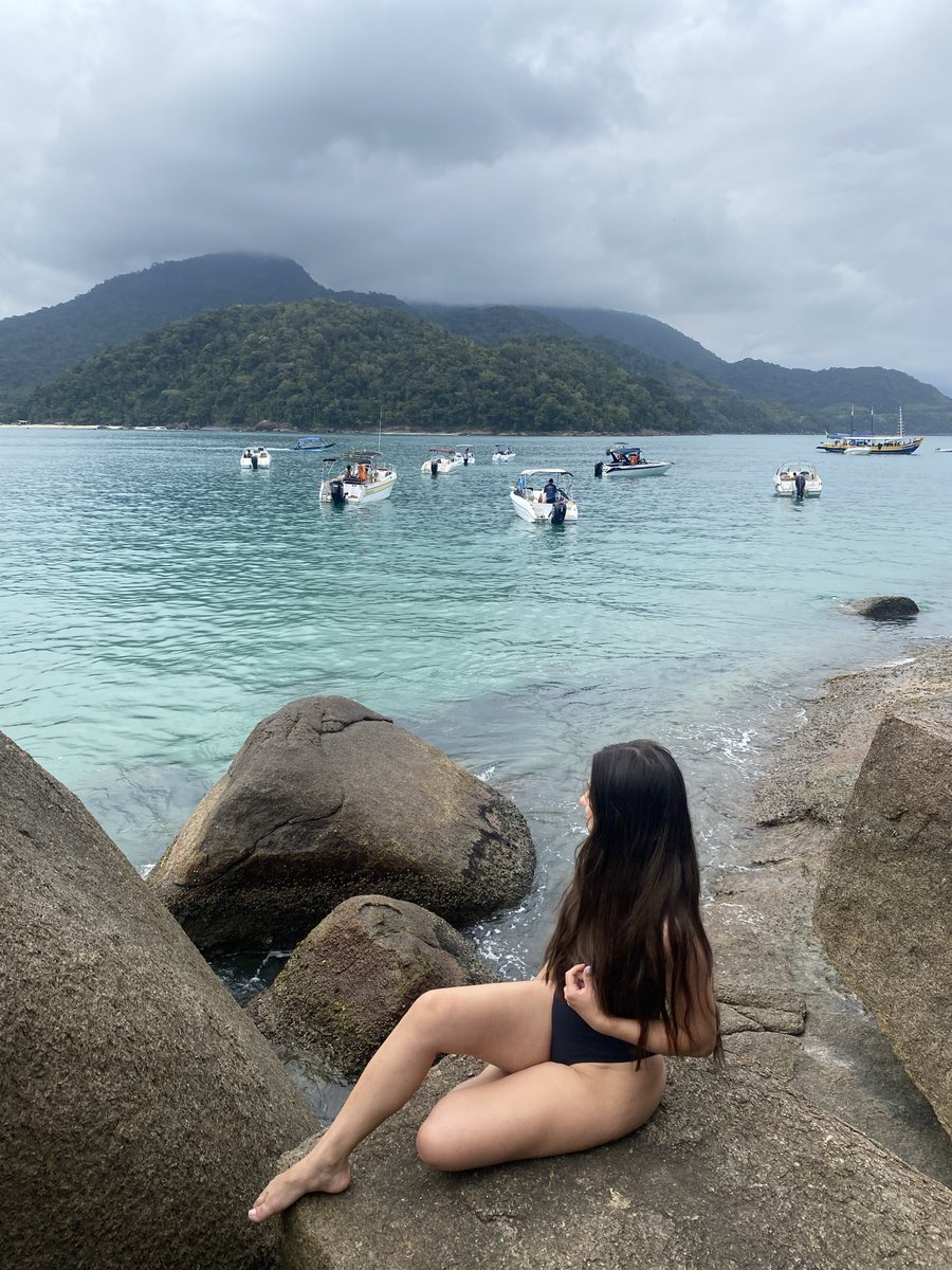 Luizeecrypto 🐕🐐 tweet media