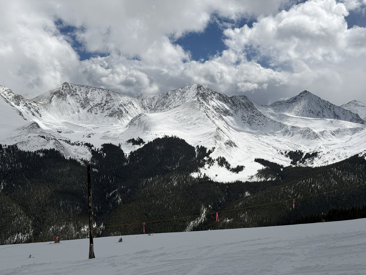 Bobby-San tweet media