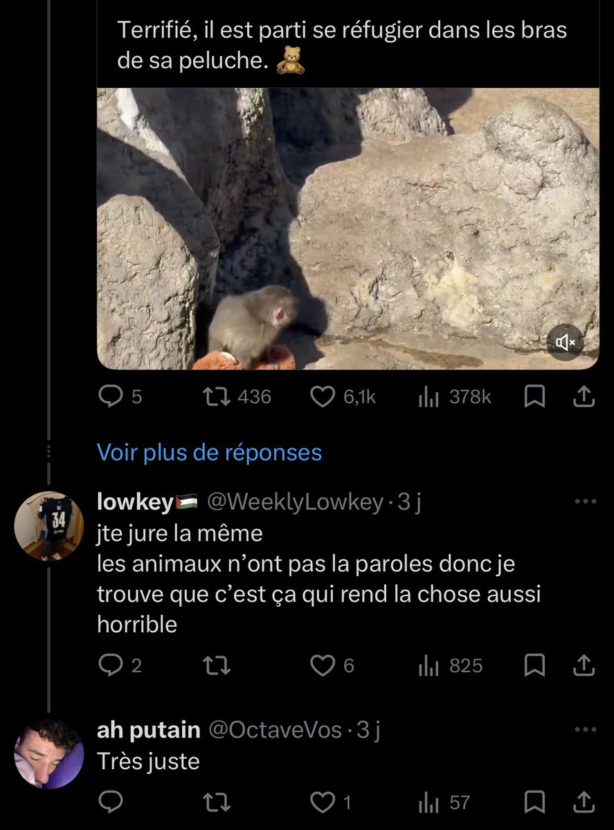  DERKAVUS tweet media