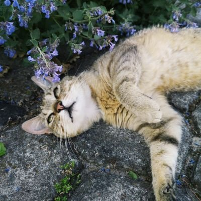 lmao they look like sibilings