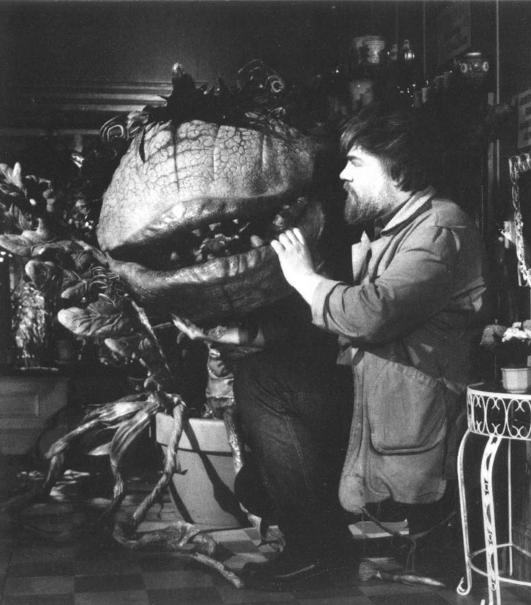 Tim Partridge tweet media