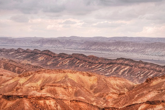 Nick Hart tweet media