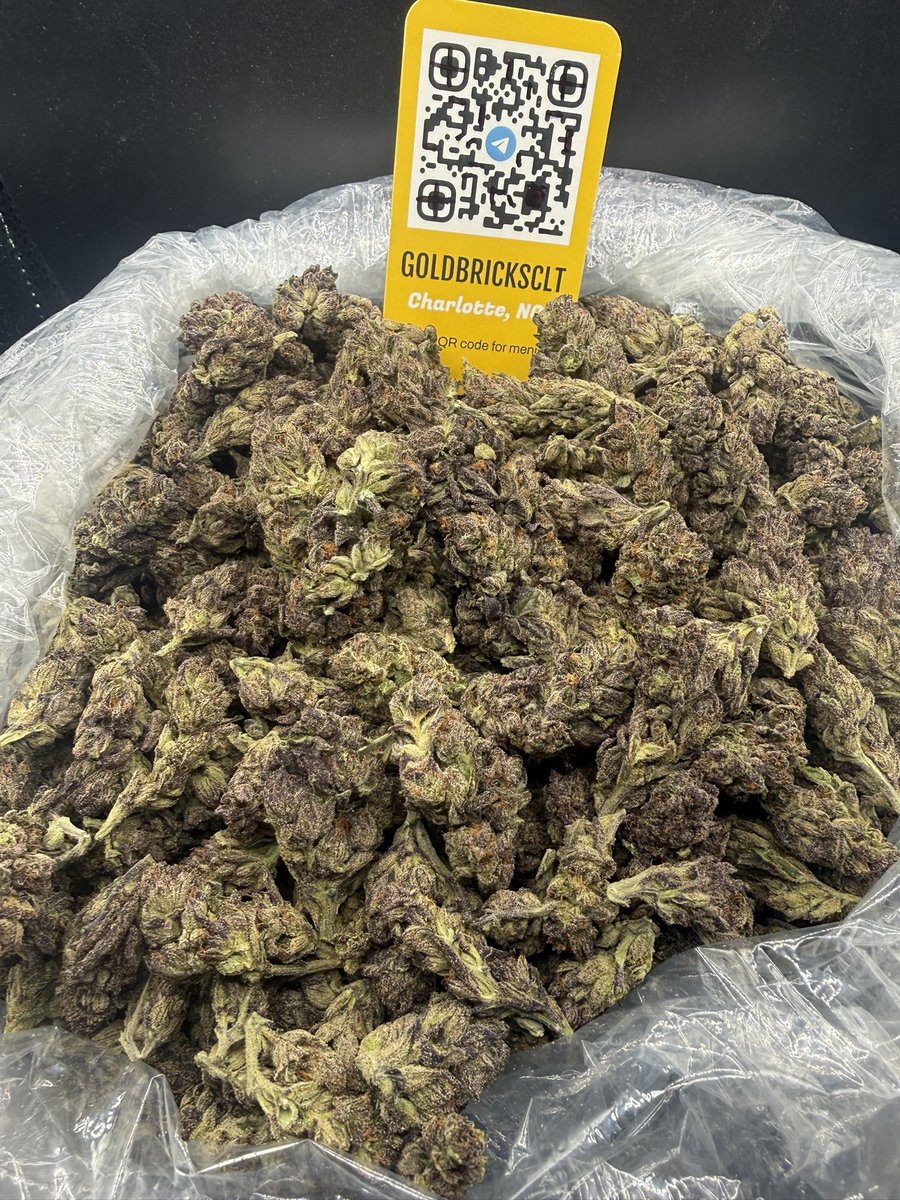 GOLDBRICKSNC's tweet image. CLEANEST EXOTIC IN THE CITY🔥💯

BEST PLUG IN THE CITY✅

LINK IN BIO TO SHOP

 #CLTPLUG #CHARLOTTE #CLTPLUGS #CHARLOTTEWEED #PLUG #CLTGAS #CHARLOTTEGAS #CONCORD #UNCC #UNCCPLUG #JWU #UPTOWN #SOUTHPARK #CLTWEED #CLT #CLTFREAKS #CHARLOTTEFREAKS #CHARLOTTEPLUGS