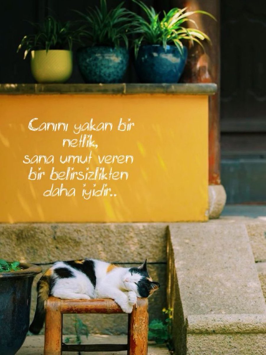 xmentalactivity's tweet photo. “Canını yakan bir netlik, sana umut veren bir belirsizlikten daha iyidir.” https://t.co/E77PVjXY9R