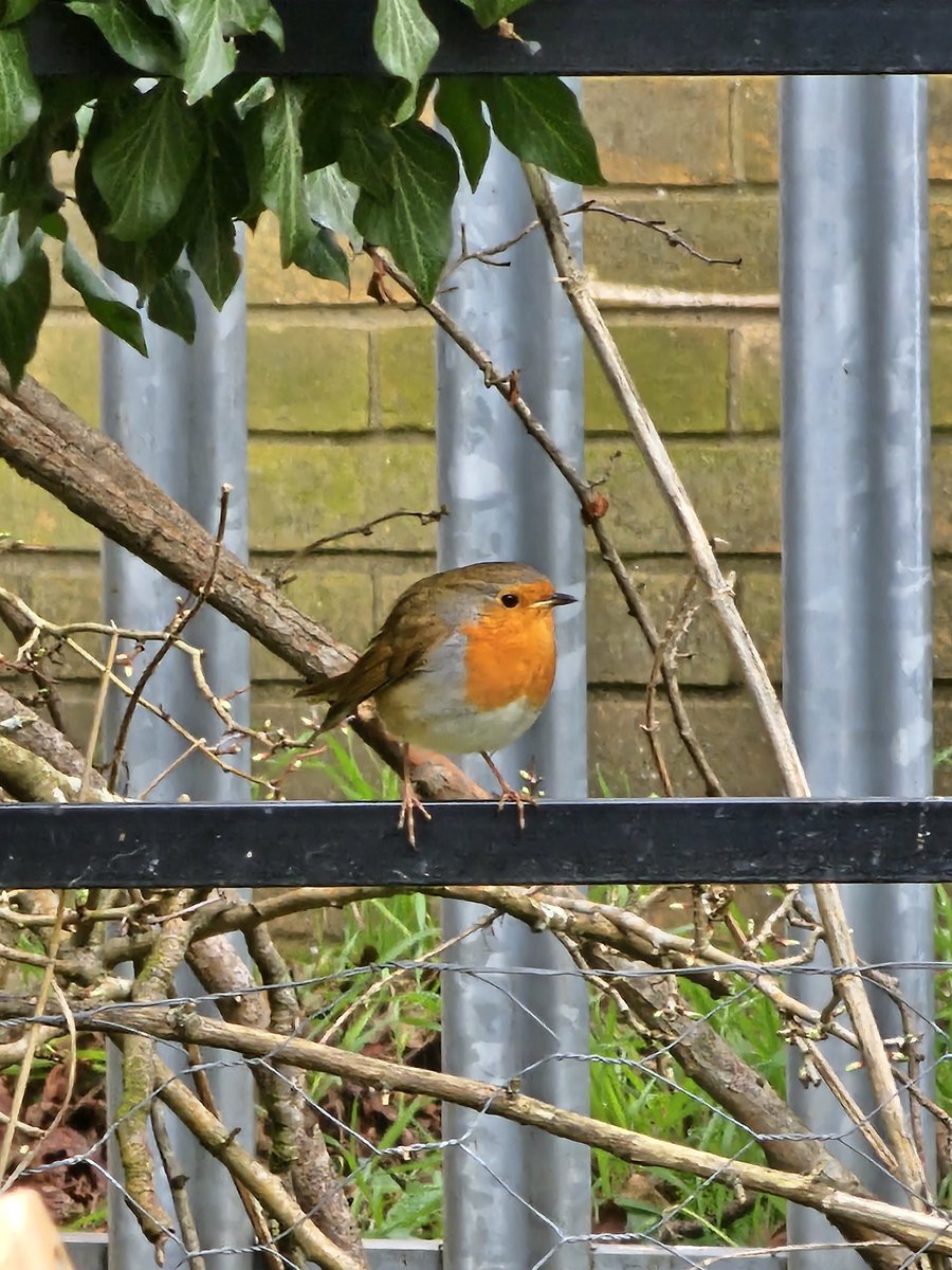 Keith McAdam 🏴󠁧󠁢󠁳󠁣󠁴󠁿 tweet media