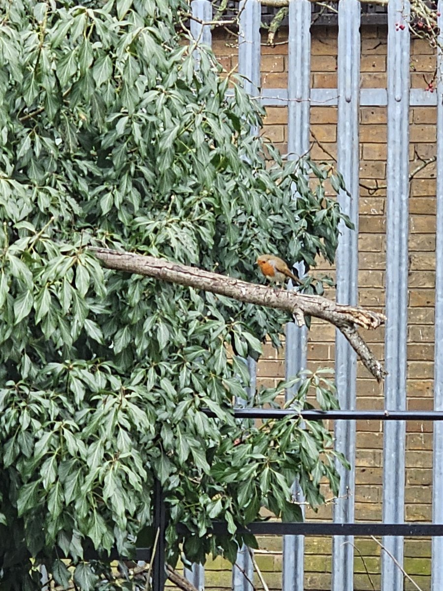 Keith McAdam 🏴󠁧󠁢󠁳󠁣󠁴󠁿 tweet media