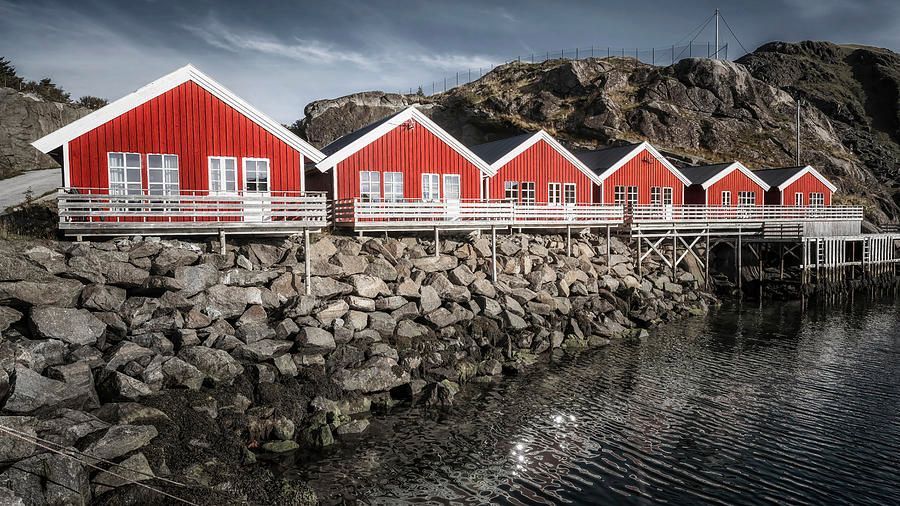 joancarroll's tweet photo. Red Cottages of Lofoten Norway! https://t.co/qjxdHhmRtd #lofoten #norway #rorbu #rorbuer #red #cottages #travel #travelphotography #red @joancarroll https://t.co/BH5ncWBDvi