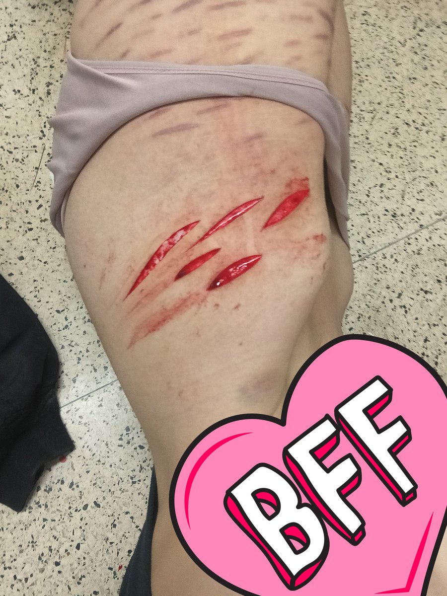 🪷Zoey🪷 tweet media