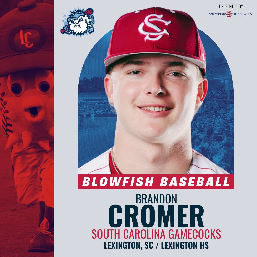 Blowfish Baseball tweet media