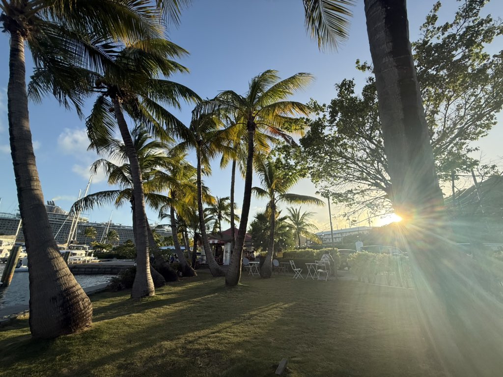 moe❗️ tweet media