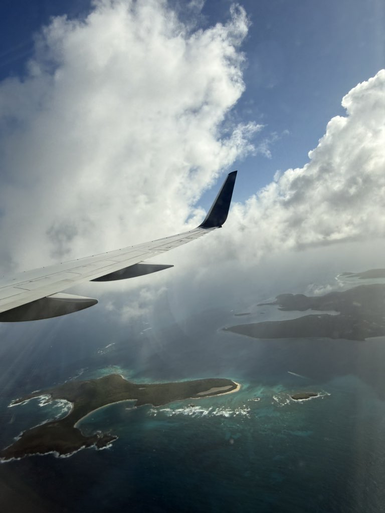 moe❗️ tweet media