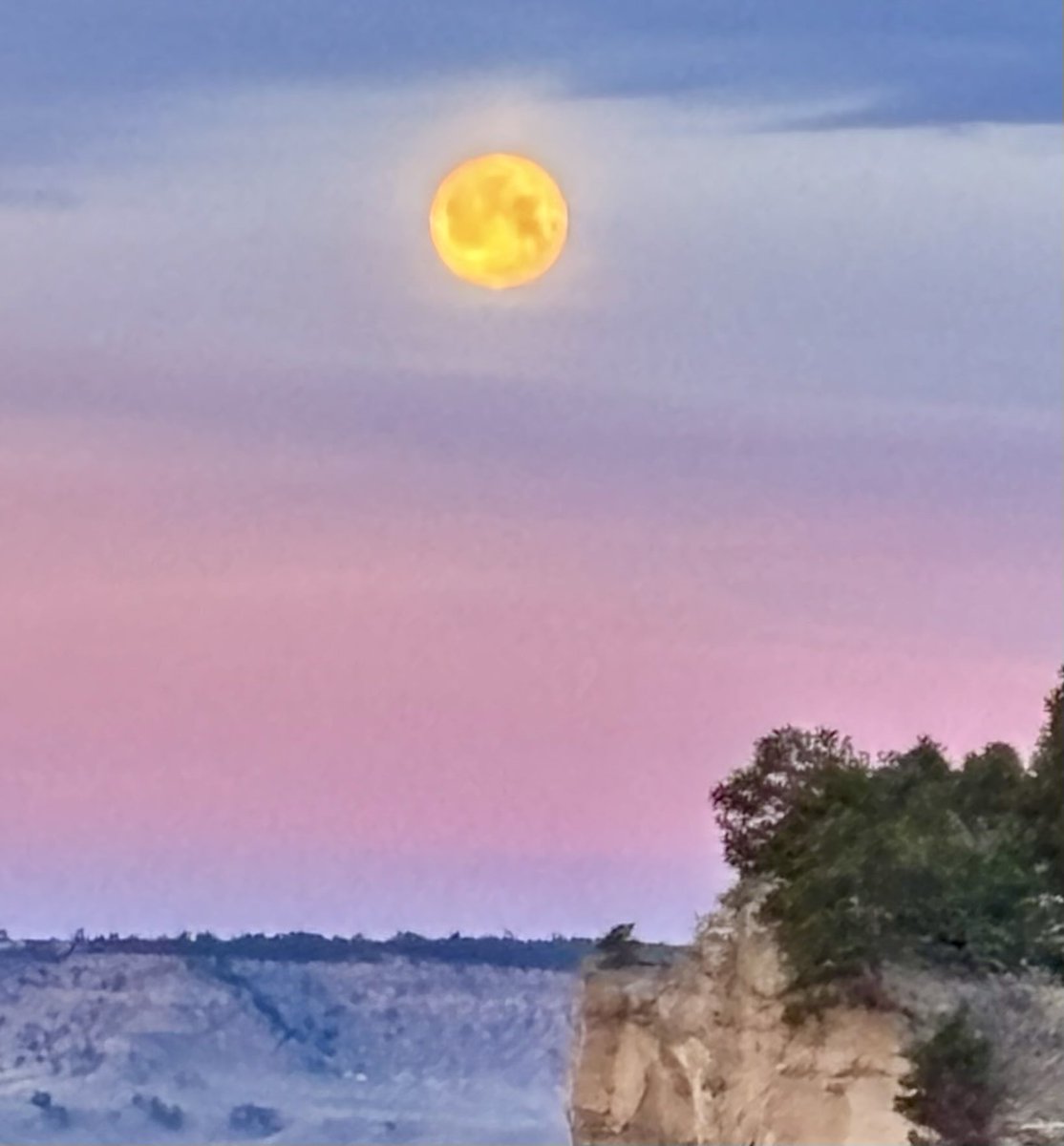 Steve Prosinski tweet media