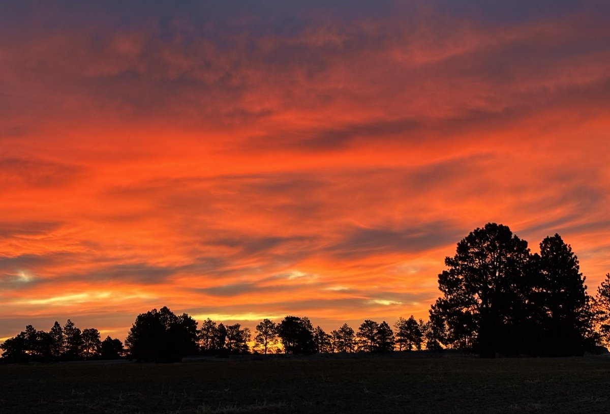 Steve Prosinski tweet media