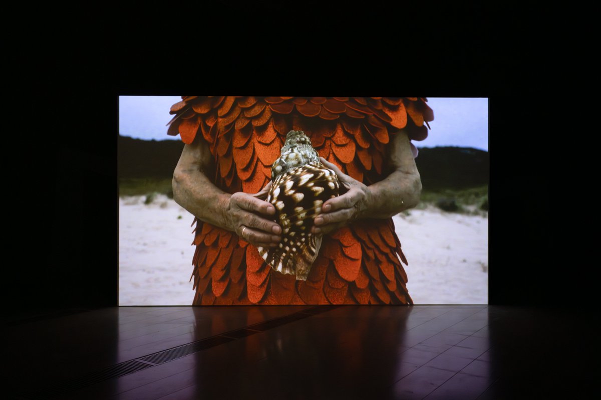 Centro Botín tweet media