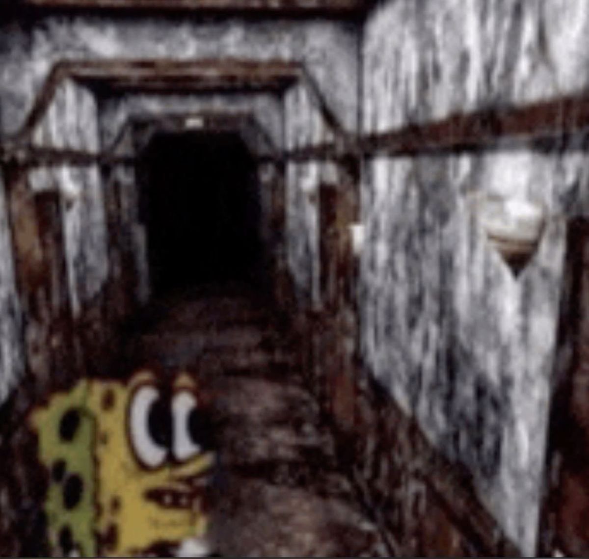 The nsfw account is unprivated i feel like i’m on the jumbotron