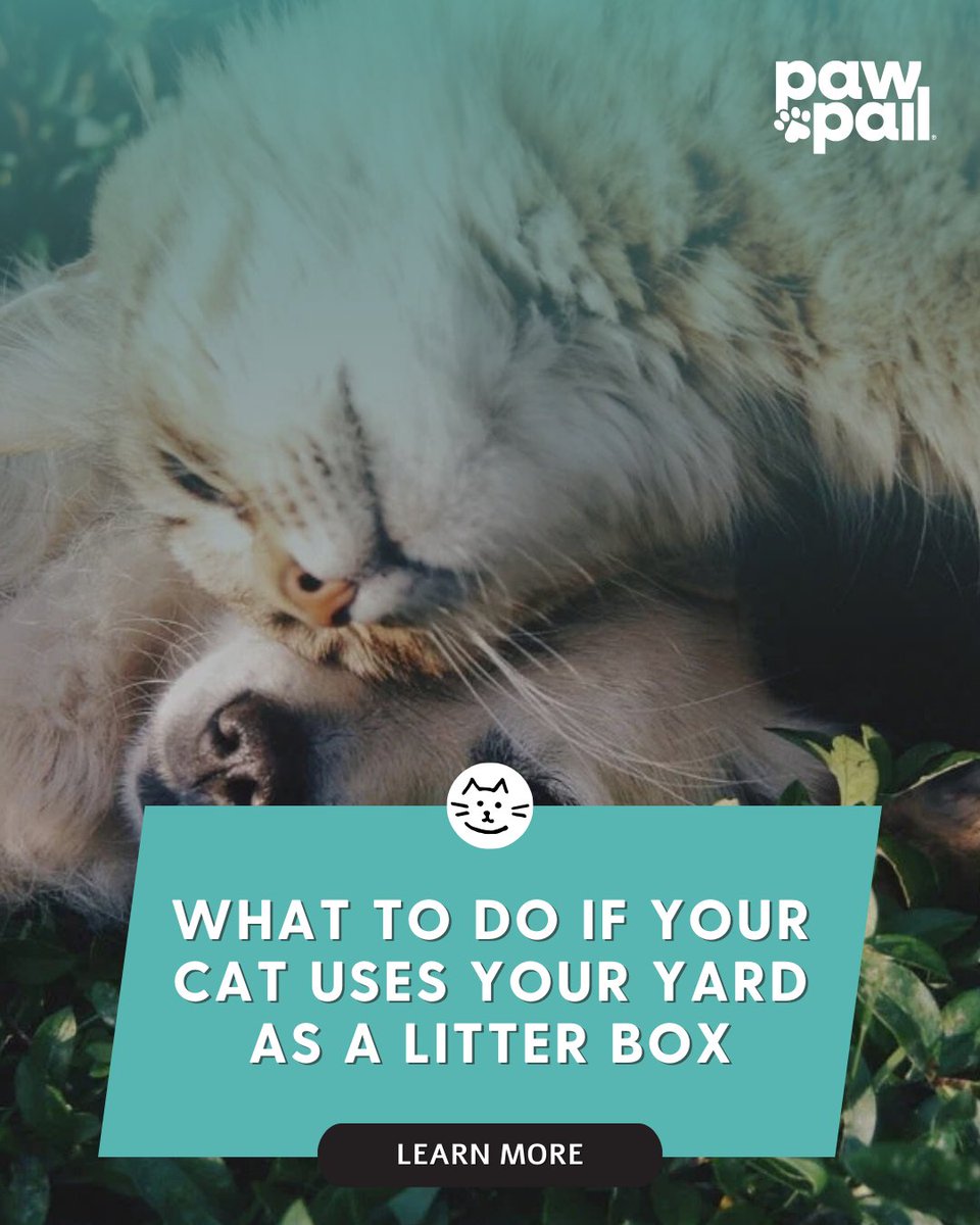 For homeowners, few things are more frustrating than finding that a cat has turned flowerbeds, lawns, or sandboxes into an outdoor cat litter box. 

Learn more: pawpail.com/blogs/pet-hygi…

#catpoop #catcare