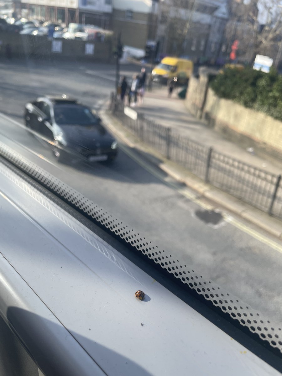 Richard Jones tweet media