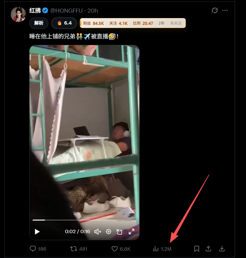 Xiangyu 香鱼🐬 tweet media