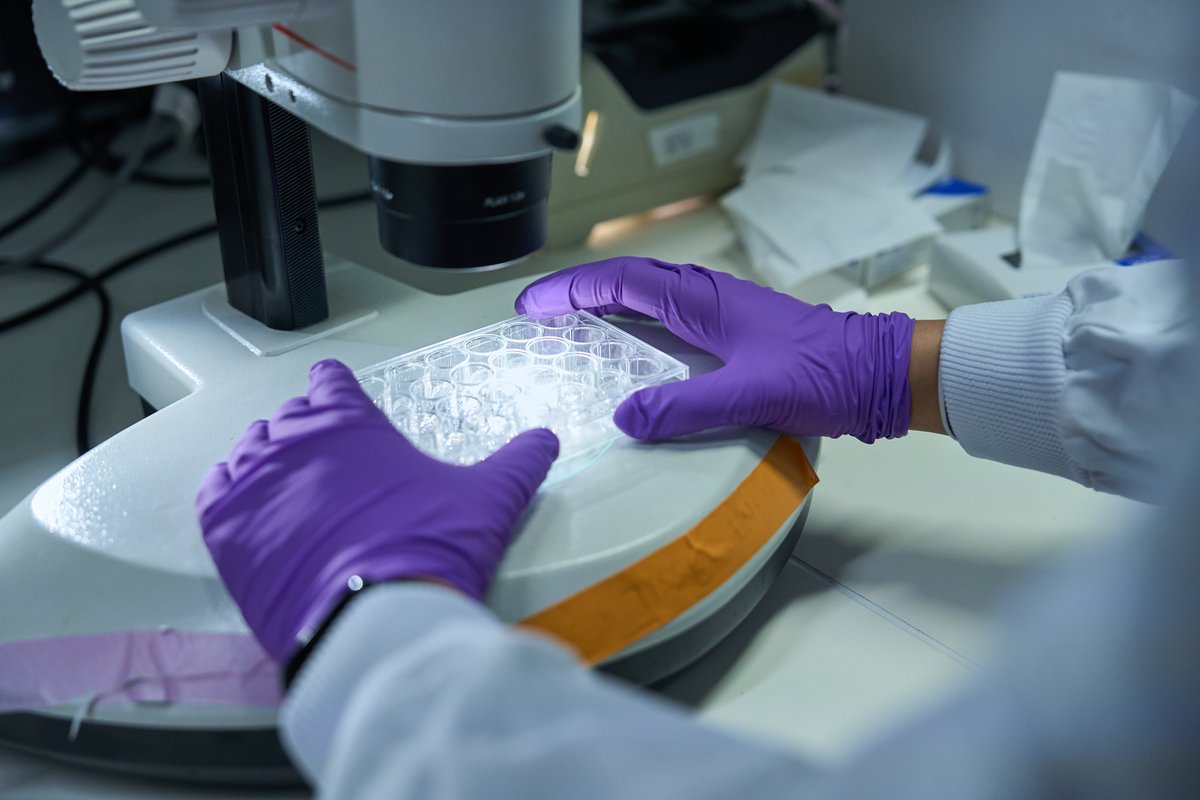 MND Research tweet media