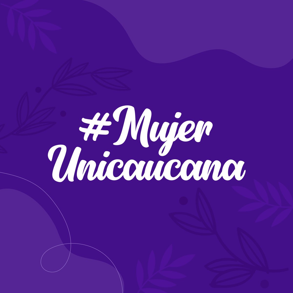 Universidad del Cauca tweet media