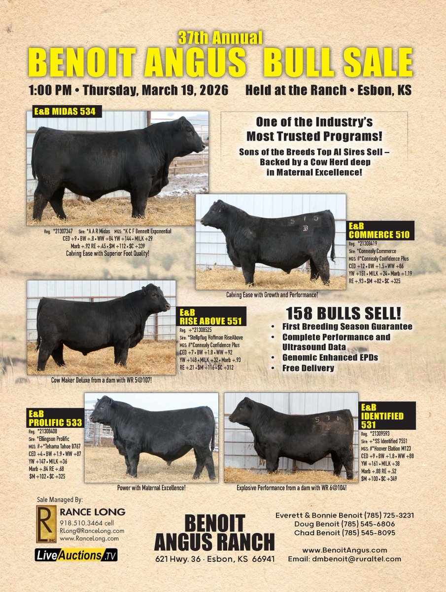 TheStockExchang's tweet photo. 37th Annual Performance-Tested Bull Sale https://t.co/yt5ud5Mfci https://t.co/rAXuQ251eA