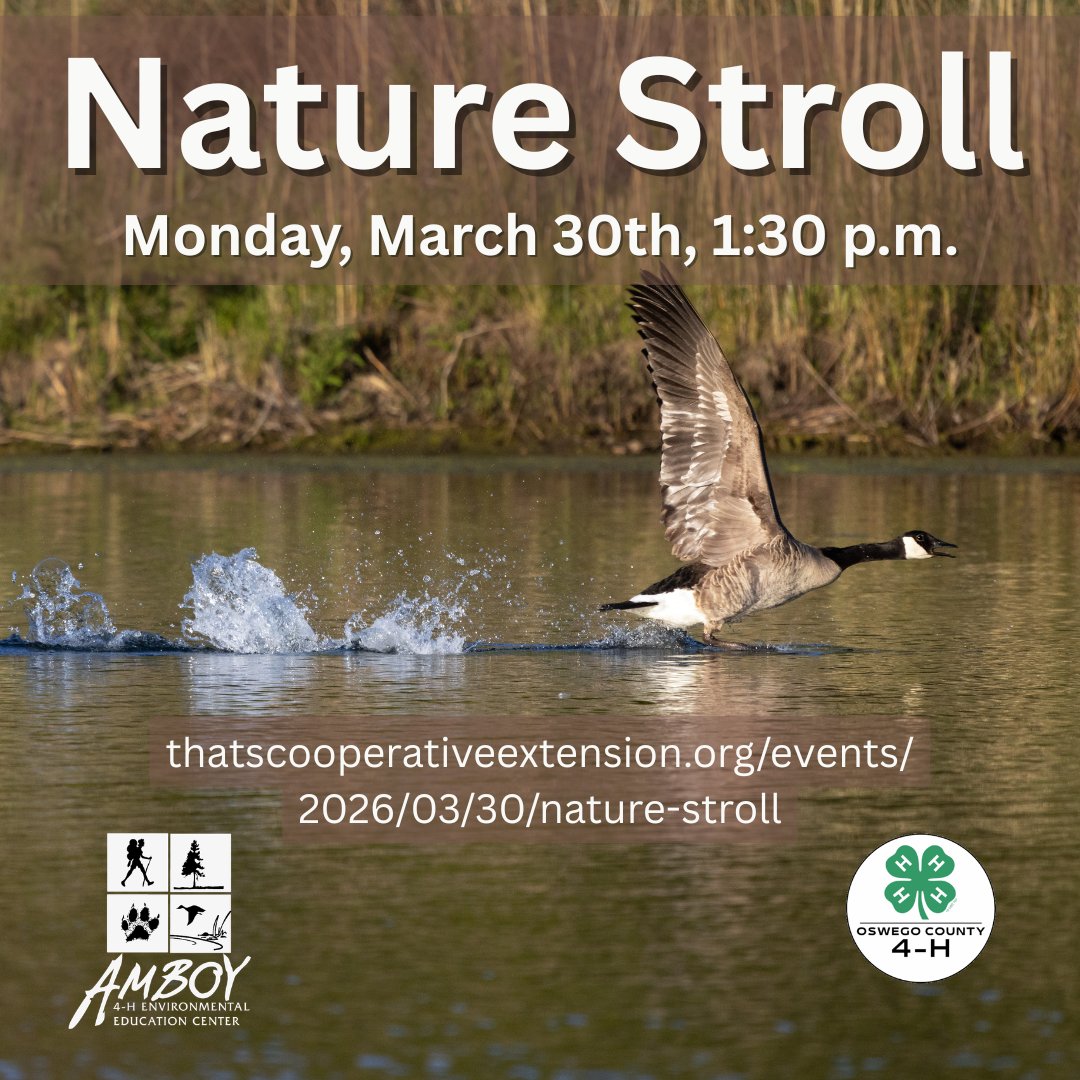 CCE Oswego tweet media